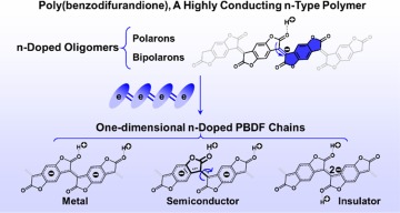 Here, we theoretically investigate the electronic and magnetic properties of PBDF by taking long oligomers and one-dimensional (1D) periodic chains as model systems. With the oligomer models, we characterize the formation of polarons and bipolarons in n-doped PBDF.