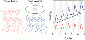 Side-chain free volume on Electrochemical Behavior of Poly