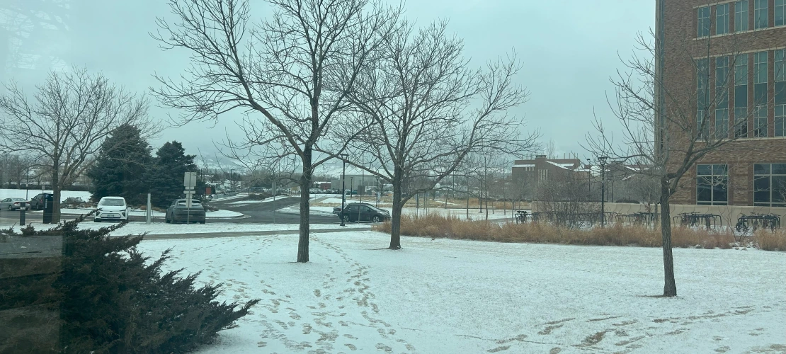 Snow in Boulder