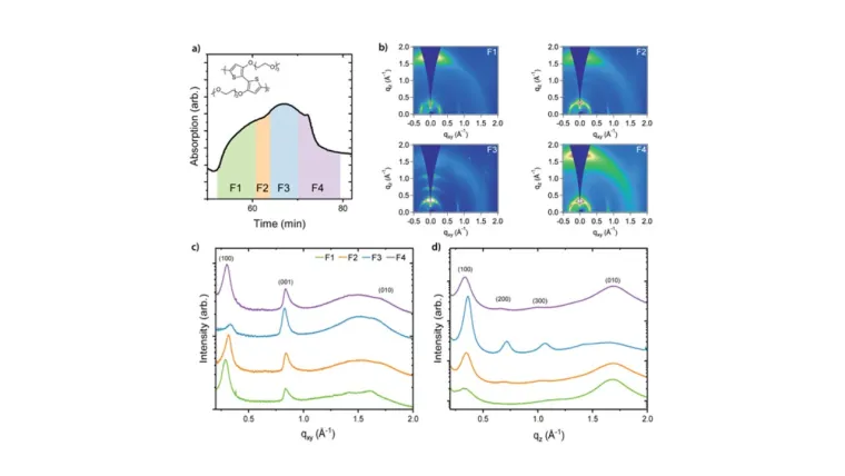 Charge carrier induced ordering and degradation in organic mixed ionic electronic conductors