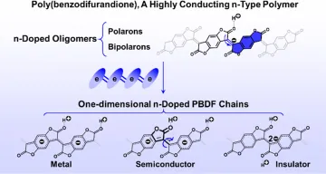 Here, we theoretically investigate the electronic and magnetic properties of PBDF by taking long oligomers and one-dimensional (1D) periodic chains as model systems. With the oligomer models, we characterize the formation of polarons and bipolarons in n-doped PBDF.