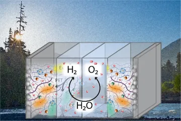Soft Materials for Photoelctrochemical Fuel Productions