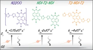 The Excited-State Lifetime of Poly(NDI20D-T2) Is intrinsically short