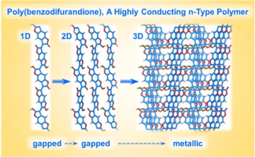 Poly(benzodifurandione), A Highly Conducting n-Type Polymer