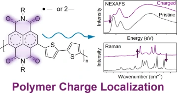 Polymer Charge Localization