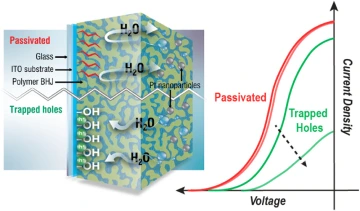 Demonstration of how Fermi-level pinning and buried contacts impacts solar fuel generation in all-polymer photocathodes